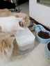 HELLOJOY宠物猫咪饮水机流动水静音猫饮水器喝水器自动循环猫狗喂水 白色 实拍图