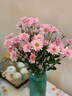 【七彩小雏菊】鲜切花混搭混色多头鲜花插瓶水养花期长七夕礼物 粉紫色小雏菊50CM5枝 实拍图