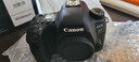 佳能（Canon）EOS 6D Mark II 6D2全画幅 专业单反相机 单机身 （约2620万像素/4K延时视频短片） 实拍图