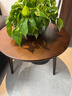 家逸实木小圆桌阳台茶几简约茶桌子小户型家用沙发边几创意圆形角几 实拍图