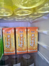 康师傅 茉莉蜜茶250ml*24盒 茉莉味饮料饮品随身装整箱 热门商品 实拍图