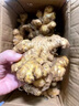 三萌果蔬云南小黄姜正宗新鲜姜现挖姜生沙地黄姜月子姜调味新鲜蔬菜整箱 3斤活动装【辛香扑鼻】净重2.8斤 实拍图