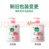滴露（Dettol）洗手液抑菌滋润450g*2+松木450g*2儿童家庭补充装消毒温和护手 实拍图