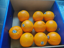 新奇士（Sunkist） 澳洲黑标晚熟脐橙4斤礼盒装 单果180g起 生鲜水果礼盒 实拍图