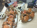 【活蟹】阳澄联合鲜活大闸蟹公4.5-4.8两母3.5-3.8两 5对10只螃蟹海鲜礼盒 实拍图