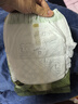babycare金山茶花婴儿拉拉裤mini装XL码18片(12-17kg)尿不湿【新老混发】 实拍图