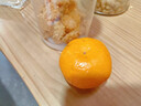 京鲜生 浙江涌泉蜜桔 净重2.5-3斤 大果70-85mm 生鲜水果 源头直发包邮 实拍图
