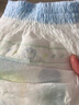 babycare艺术大师纸尿裤中号M码42片(6-11kg) 婴儿尿不湿瞬吸干爽透气 实拍图