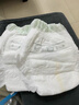 babycare金山茶花拉拉裤XL34片(12-17kg)婴儿尿不湿超薄透气新生柔花苞裤 实拍图