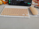 无线蓝牙键盘静音轻薄便携鼠标手机ipd平板电脑安卓苹果IOS无线 杏国黄【快速配对】无线桌面 键鼠套装【宿舍神器】人体工学 实拍图