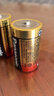 松下（Panasonic）1号大号D型LR20碱性电池2节1.5V适用手电煤气灶热水器 实拍图
