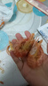 渔大叔 即食虾干300g鲜烤虾约34只休闲海鲜零食高蛋白大虾源头直发包邮 实拍图
