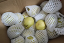 京鲜生 新疆库尔勒香梨 净重10斤 一级 单果100-120g 生鲜水果 实拍图