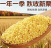 十月稻田 黄小米 5斤 可溯源 五谷杂粮 粥米 早餐小米粥 2.5kg 实拍图