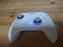 飞智冰原狼4多模版无线游戏手柄 类xbox 力调节摇杆双切扳机 switch电脑PC手机steam体感NS 丝之歌 实拍图