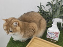 KONOKO宠物除臭剂猫咪猫砂抑菌除螨去尿味狗狗除臭喷雾臭味生物酶分解剂 实拍图