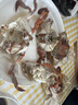 鲜活梭子蟹100-150g/只 实拍图