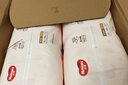 好奇（Huggies）铂金装小桃裤成长裤XL96片(12-17kg)加大号尿不湿【透爽散热】 实拍图