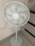 格力（GREE）电风扇家用落地扇客厅低噪省电七叶大风量落地风扇节能摇头立式办公宿舍床头空气循环扇电扇 【竹青色】10米送风远 7叶大风量 35X65h7 实拍图