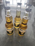 科罗娜（CORONA）海盐番石榴果啤啤酒207ml*24瓶整箱装【新品】京东自营 实拍图