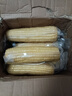 京鲜生东北白糯玉米330g*8根 甜黏玉米低脂早餐代餐粗粮真空装 源头直发 实拍图