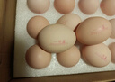 1号会员店 可生食标准鲜鸡蛋30枚 净重3斤 1号会员店自有品牌  源头直发 实拍图