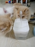HELLOJOY宠物猫咪饮水机流动水静音猫饮水器喝水器自动循环猫狗喂水 白色 实拍图