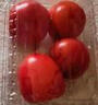 番茄约500g 实拍图