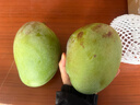 京鲜生 攀枝花凯特芒果 净重4.5斤 单果700g 生鲜水果 源头直发 实拍图
