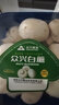 【绿色认证】鲜美白蘑菇230g 实拍图
