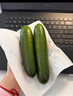 京喜加新鲜无刺水果小黄瓜小青瓜脆甜荷兰脆嫩生吃黄瓜蔬菜 水果黄瓜 2斤 带箱活动 实拍图