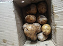 京鲜生恩施小土豆净重3斤 单果30-100g新鲜黄心马铃薯洋芋源头直发 实拍图