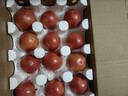 京鲜生 山东普罗旺斯西红柿 净重4.5斤 单果115g+ 沙瓤番茄 源头直发 实拍图