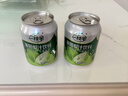 一枝笔莱阳梨汁夏季解渴熬夜易拉罐果汁清润整箱饮料批发245ml*10罐 实拍图