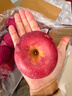 京鲜生 烟台红富士苹果 净重10斤 单果190g以上 生鲜水果 礼盒装 实拍图