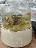 world kitchen康宁养生壶 全玻璃恒温壶煮茶壶煮茶器1L 办公室保温壶家用花茶壶烧水壶电热水壶煮水壶送礼自用 【标准款】+全玻璃盖子 1L 实拍图