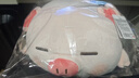 名创优品（MINISO）小猪B-BO弹力超柔趴姿毛绒公仔玩偶抱枕儿童玩具送女友生日礼物女 实拍图