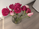 京东鲜花产地仓严选玫瑰颜色随机家庭插花随机玫瑰10枝源头直发 实拍图