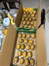 佳沛（zespri）新西兰 阳光金奇异果12粒礼盒特大果单果约122-146g 猕猴桃 水果 实拍图