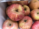京鲜生 烟台红富士苹果 净重8斤  单果230g起 水果礼盒 实拍图