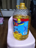 多力 【张若昀同款】葵花籽油6.18L食用油 物理压榨 热门商品 实拍图
