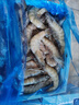 PHUKEY SEA特大盐冻南美白对虾 只只分离 海鲜水产 3斤 (21-30只/KG) 实拍图