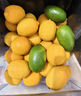 京鲜生 安岳黄柠檬 8粒 单果95-120g 生鲜水果 实拍图