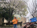 LITTLE BIG ROOM BY DJECO雨伞儿童彩虹伞拱形手动亲子变色长柄透明女童男童机器人幼儿园 儿童透明雨伞-花鸟DD04804 实拍图