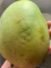 【双十一热卖】玉芒水果芒果新鲜上市 带箱2斤【单果300g+】 实拍图
