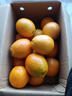 玖原农珍 赣南脐橙现摘新鲜榨汁水果橙子 年货水果礼盒 9斤净果彩箱优选果80-90mm 实拍图