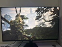 泰坦军团 31.5英寸大屏 2304分区 MiniLED 4K 160Hz 双模320Hz DyDs技术 广色域专业电竞显示器 P326MV MAX 实拍图
