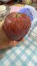 京鲜生 甘肃天水花牛苹果 又大又红 净重6斤 单果240g以上 生鲜水果  实拍图