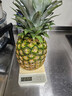 佳农 黑钻菠萝1粒装 巨无霸 菲律宾凤梨 净重3.6斤 生鲜水果 包邮 实拍图