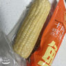 十月稻田 黄糯玉米 10根 4.4斤 东北粘玉米棒 低脂早餐 杂粮 粗粮礼盒 实拍图